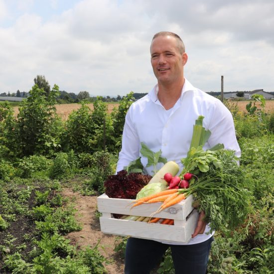 Gesundheit verstehen