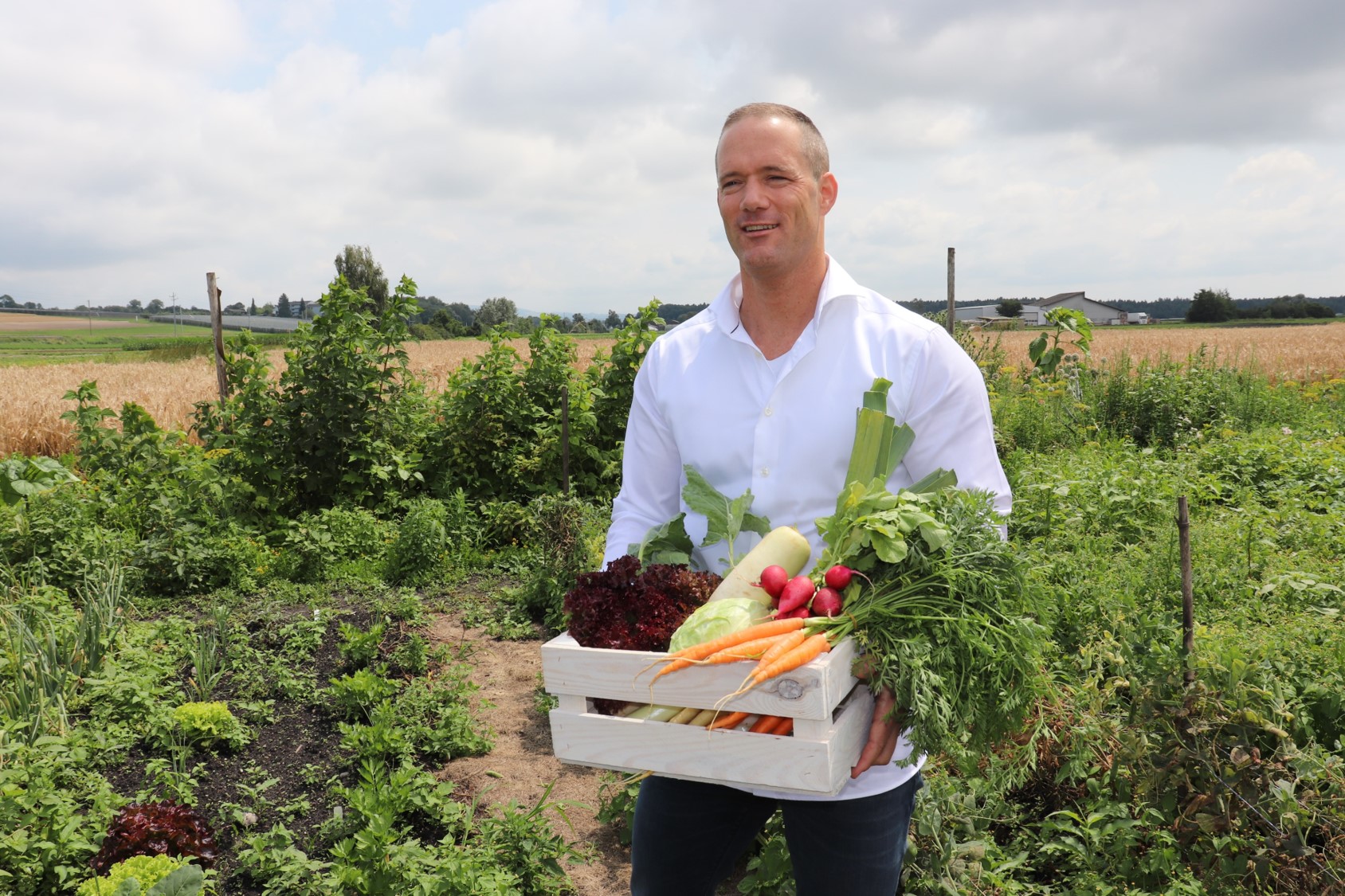 Gesundheit verstehen